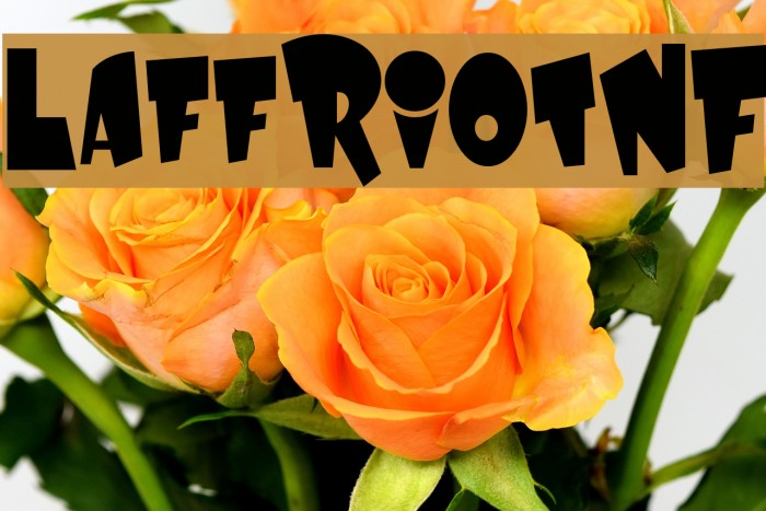 LaffRiotNF Font examples