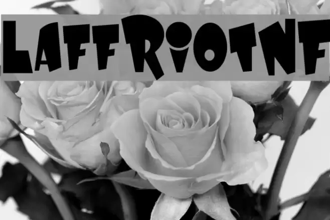 LaffRiotNF Polices examples