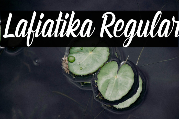 Lafiatika Regular Example 2