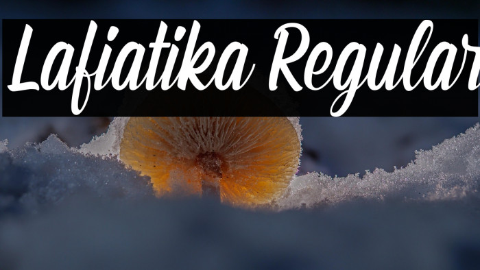 Lafiatika Regular Example 3