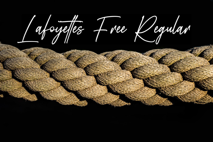 Lafoyettes Free Regular Example 1