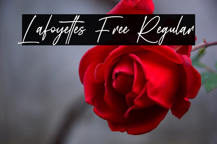 Lafoyettes Free Regular Example 2