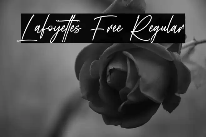 Lafoyettes Free Regular Example 2