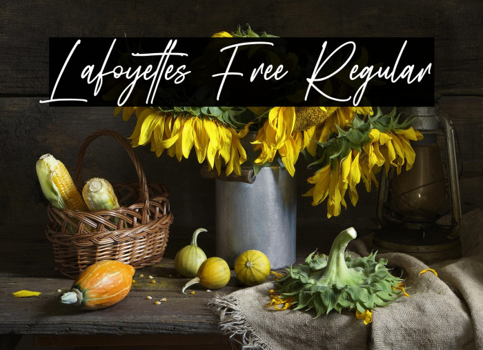 Lafoyettes Free Regular Example 3