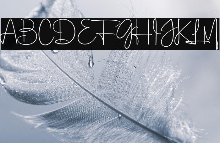 Laga Signatica Example 1