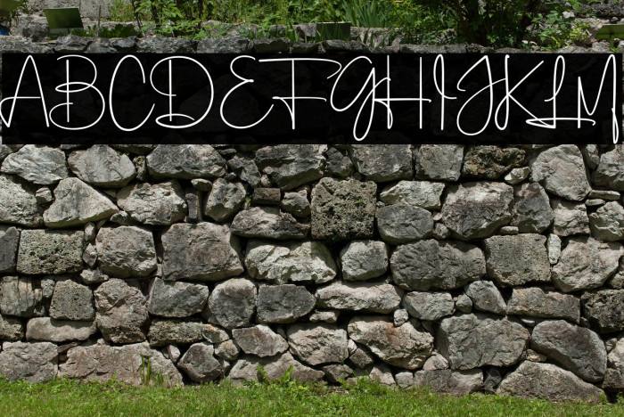 Laga Signatica Example 2