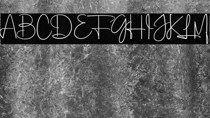 Laga Signatica Example 3