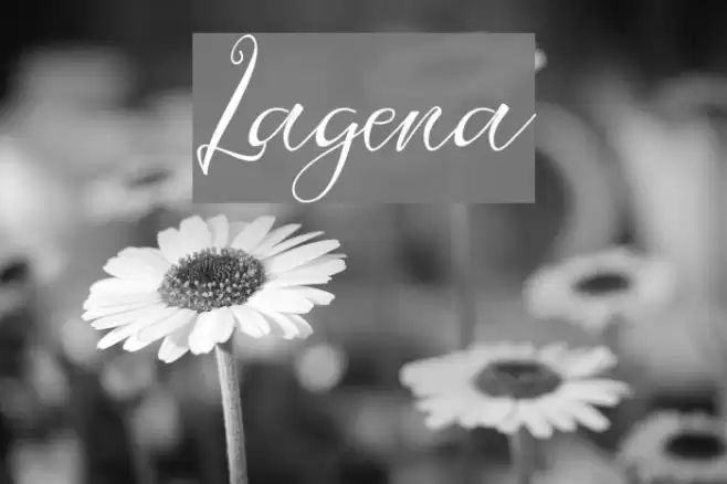 Lagena Font examples