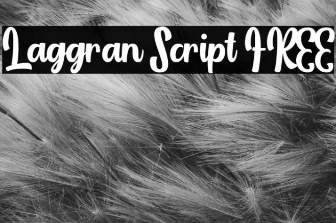 Laggran Script FREE Font examples