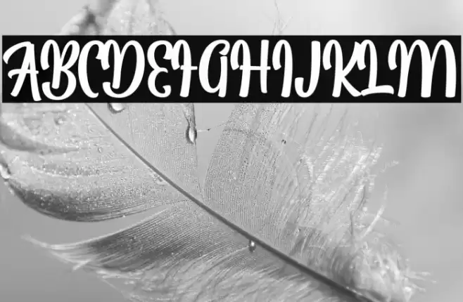 LaggranScriptFREE Font examples