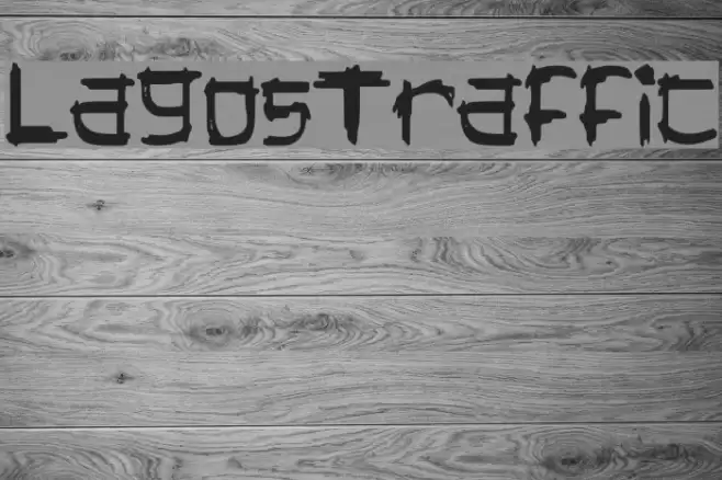 LagosTraffic Polices examples