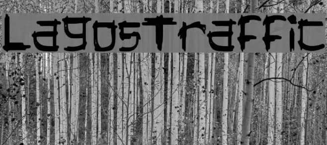 LagosTraffic Polices examples