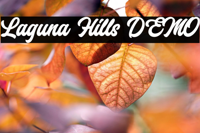 Laguna Hills DEMO Example 2