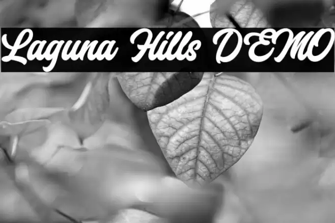 Laguna Hills DEMO Font examples