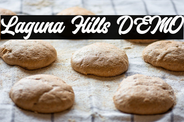 Laguna Hills DEMO Example 3