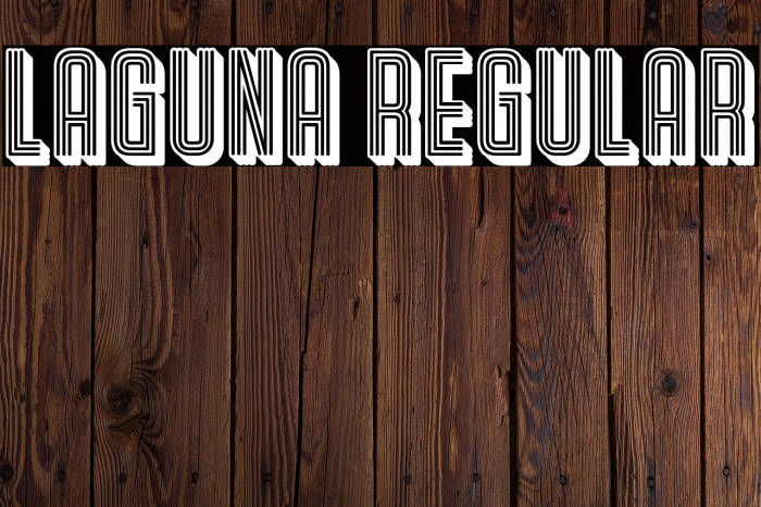 Laguna Regular Example 1