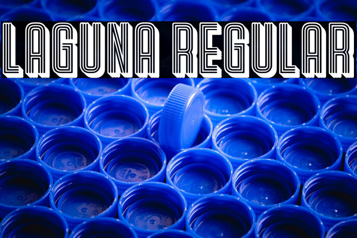 Laguna Regular Example 2