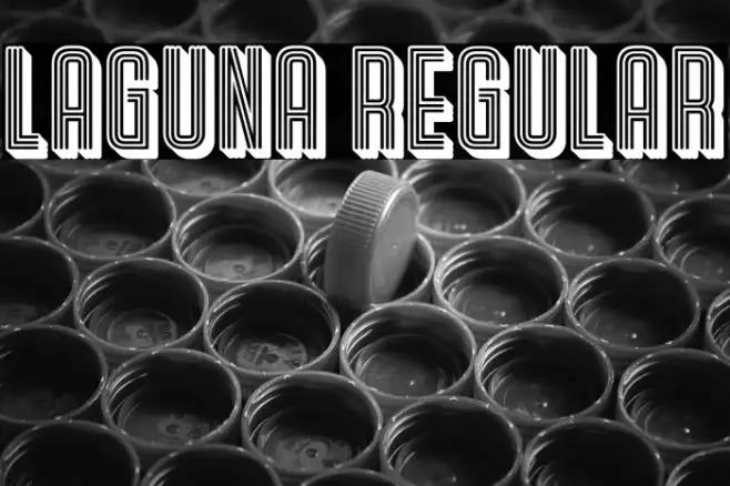 Laguna Regular Example 2