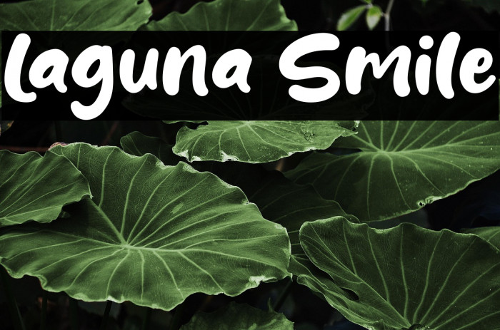 Laguna Smile Example 2