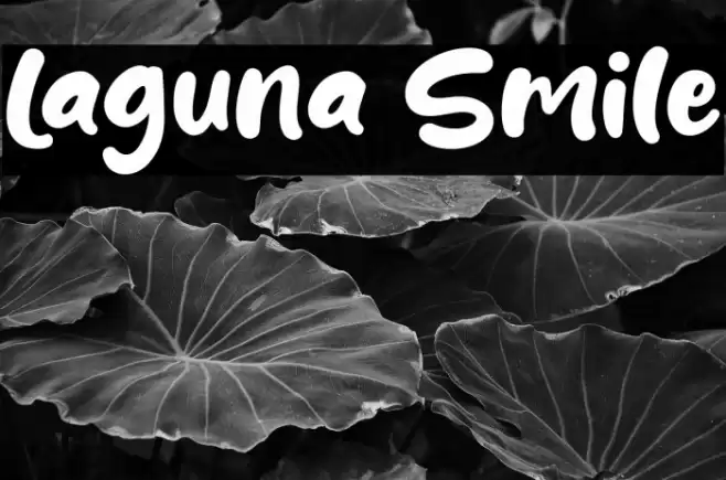 Laguna Smile Font examples