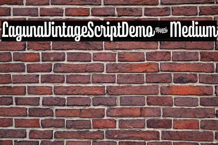LagunaVintageScriptDemo-Medium Example 1