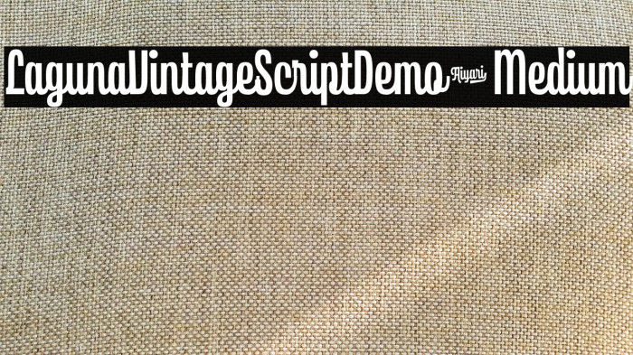 LagunaVintageScriptDemo-Medium Example 2
