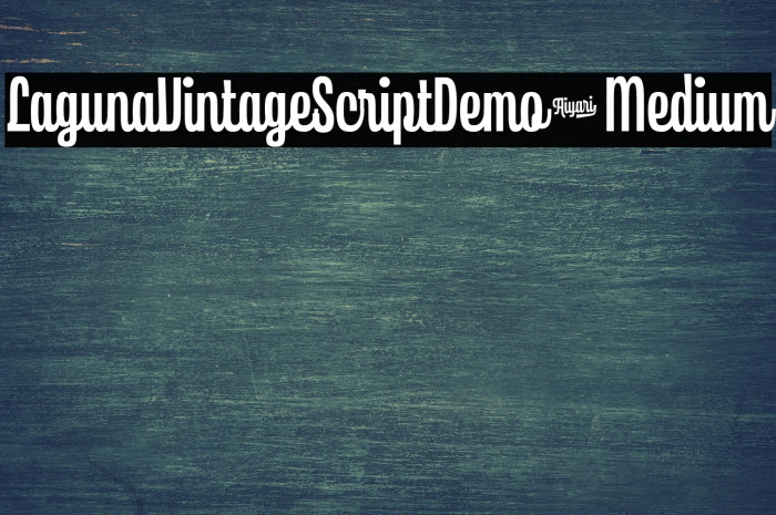 LagunaVintageScriptDemo-Medium Example 3