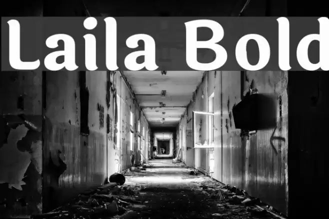 Laila Bold Font examples