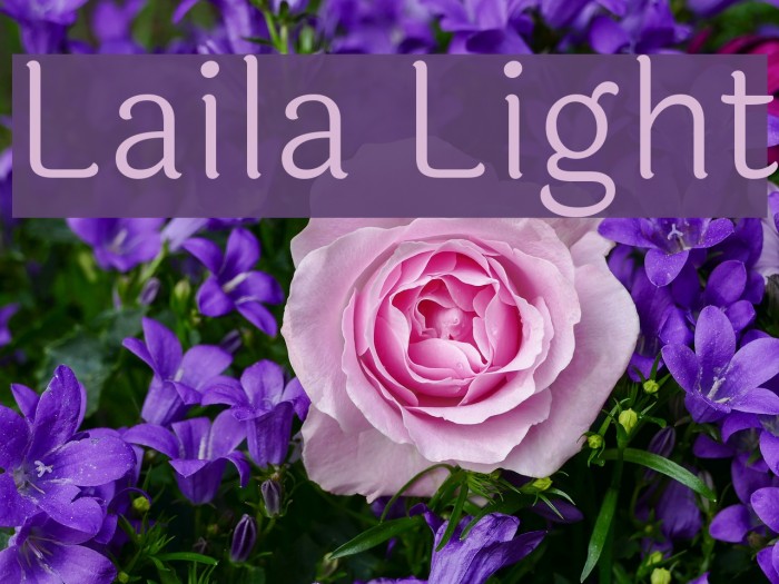 Laila Light Font examples