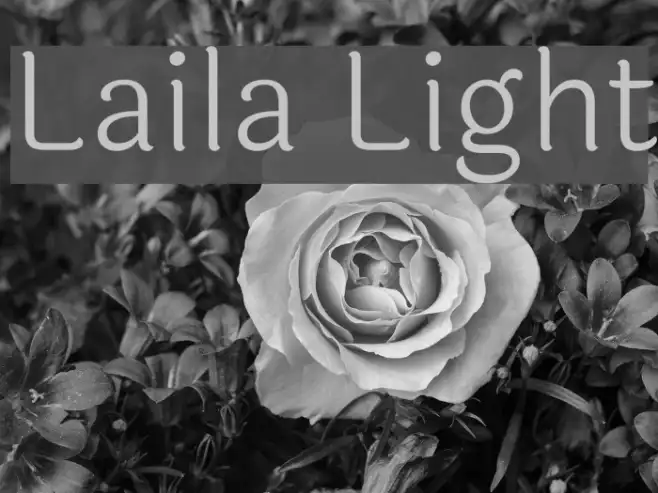 Laila Light Example 1