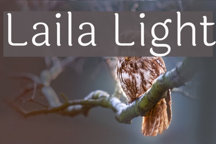 Laila Light Font examples