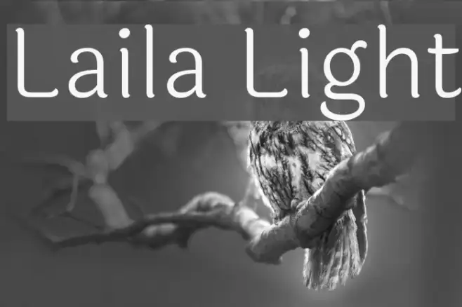 Laila Light Example 2