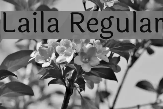 Laila Regular Font examples