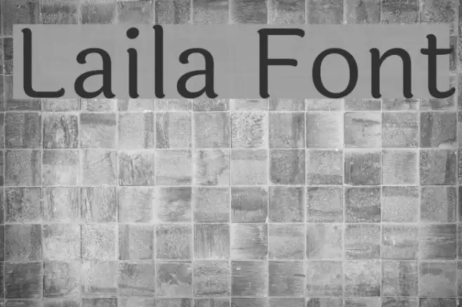 Laila Example 3