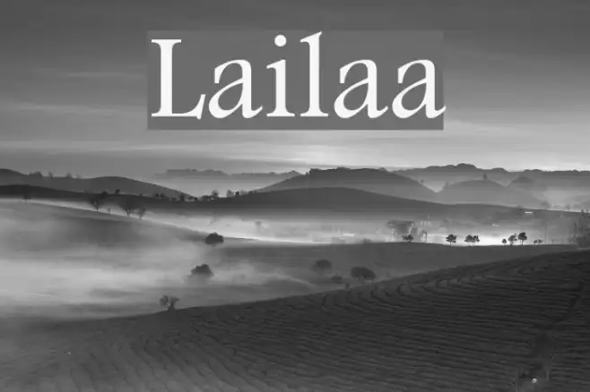 Lailaa Example 3