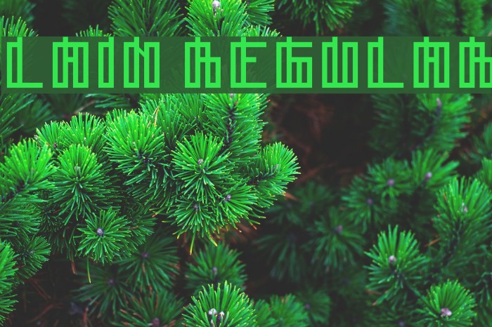 Lain Regular Font examples