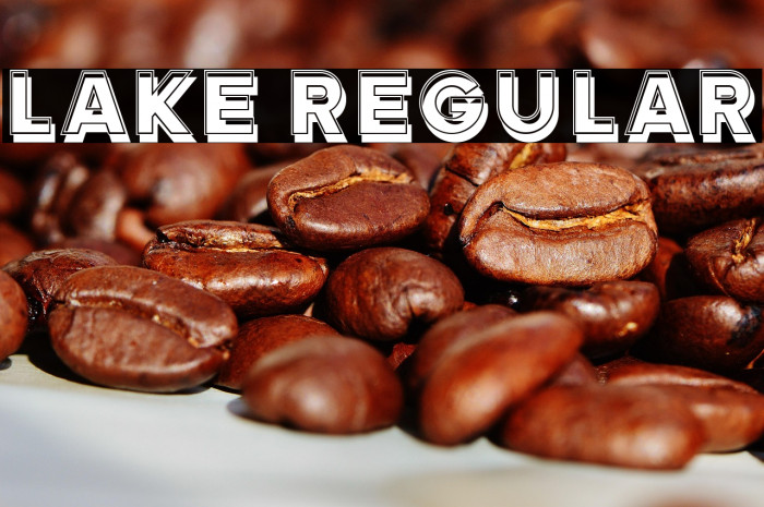 Lake Regular Example 1