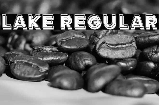 Lake Regular Example 1