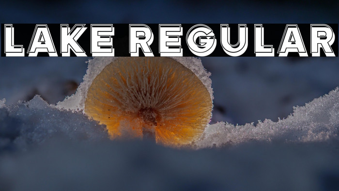 Lake Regular Example 2