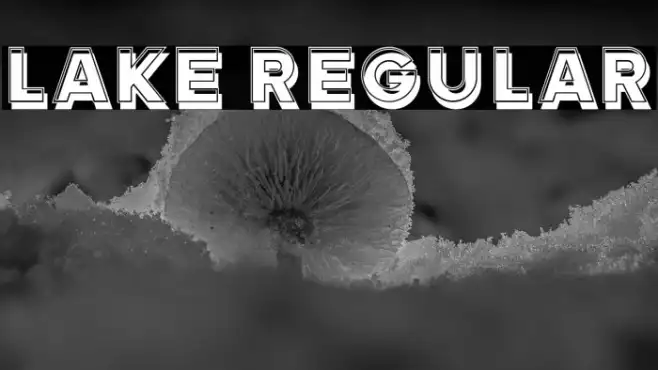 Lake Regular Example 2