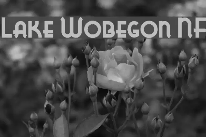 Lake Wobegon NF Font examples