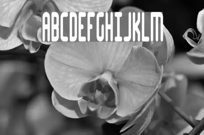 Lakeshore BRK Font examples