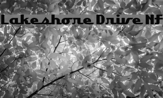 Lakeshore Drive NF Example 1
