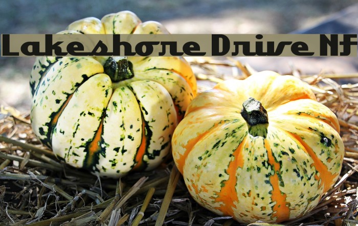 Lakeshore Drive NF Font examples