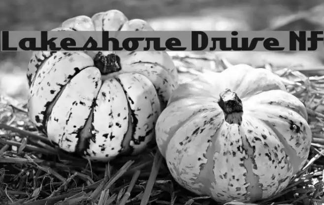 Lakeshore Drive NF Example 2