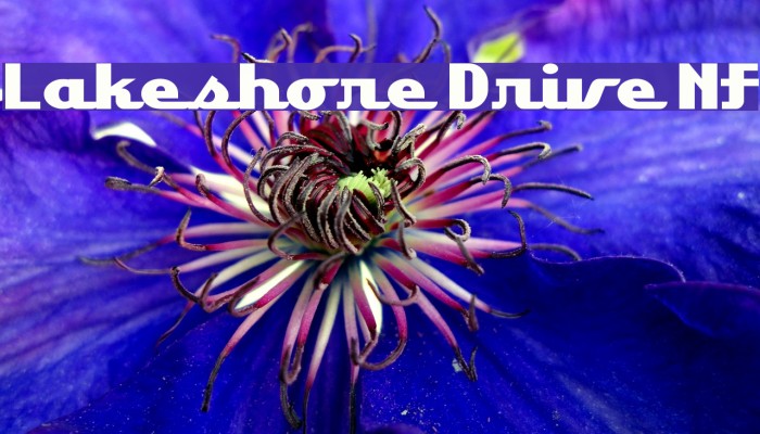 Lakeshore Drive NF Font examples
