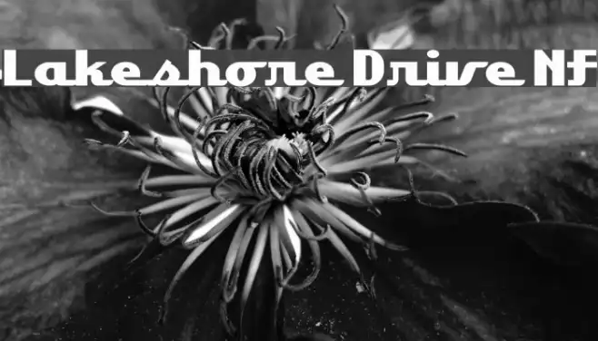 Lakeshore Drive NF Example 3