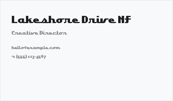 Lakeshore Drive NF Business Card