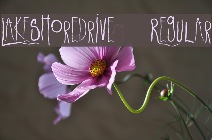 LakeshoreDrive-Regular Font examples