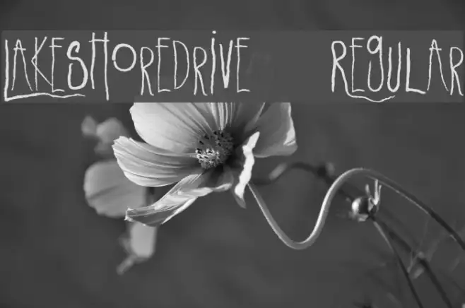 LakeshoreDrive-Regular Example 2
